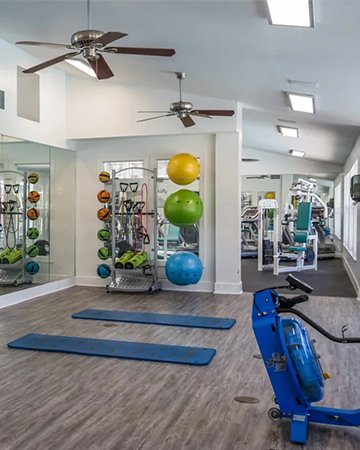 gym at The Monroe Apartment Homes, located in Tallahassee, FL